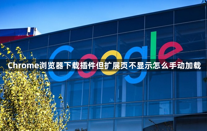 Chrome浏览器下载插件但扩展页不显示怎么手动加载1