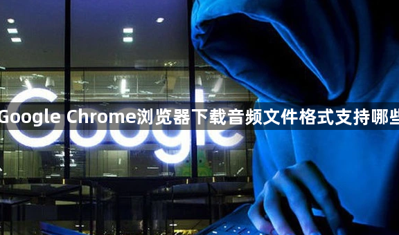 Google Chrome浏览器下载音频文件格式支持哪些1
