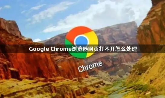 Google Chrome浏览器网页打不开怎么处理1