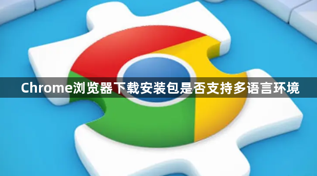 Chrome浏览器下载安装包是否支持多语言环境1