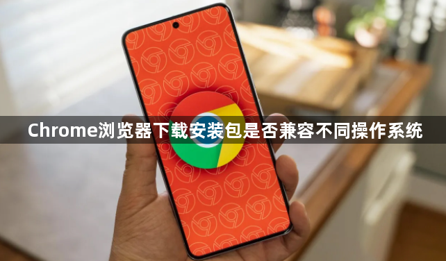 Chrome浏览器下载安装包是否兼容不同操作系统1