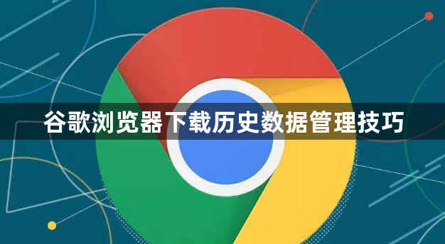 谷歌浏览器下载历史数据管理技巧1
