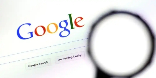 google Chrome浏览器下载数据备份与恢复方法
