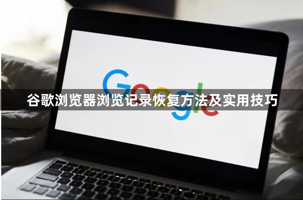 谷歌浏览器浏览记录恢复方法及实用技巧1