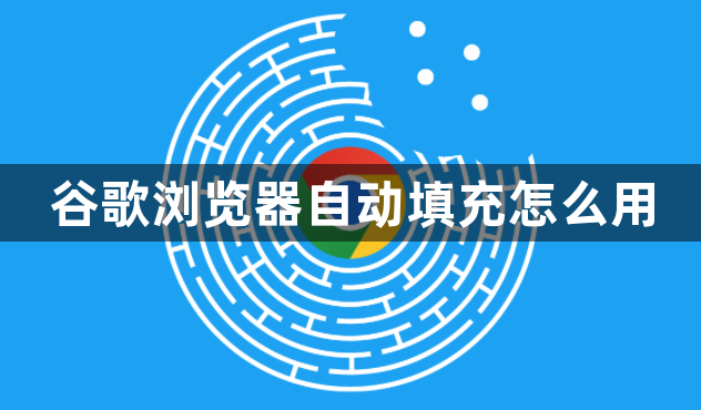 谷歌浏览器自动填充怎么用1