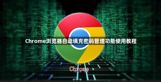 Chrome浏览器自动填充密码管理功能使用教程1