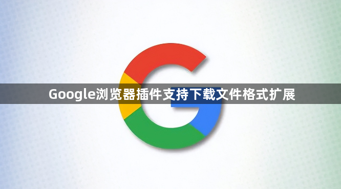 Google浏览器插件支持下载文件格式扩展1