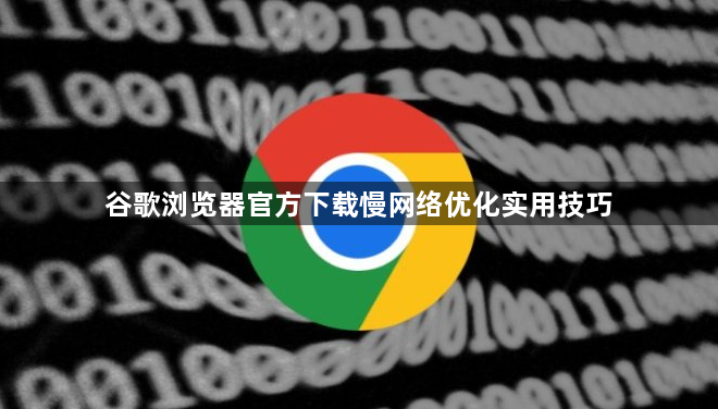谷歌浏览器官方下载慢网络优化实用技巧1