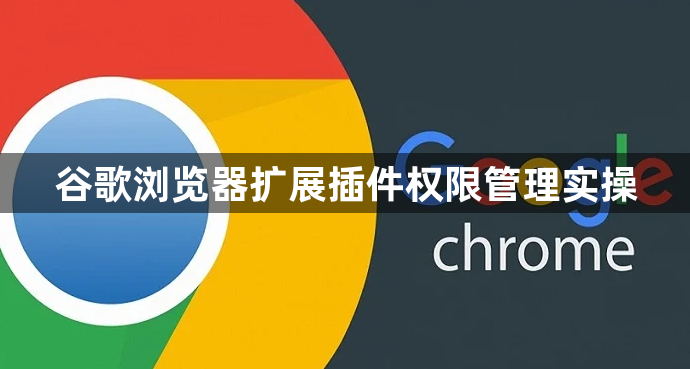 谷歌浏览器扩展插件权限管理实操1