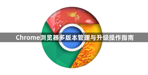 Chrome浏览器多版本管理与升级操作指南1