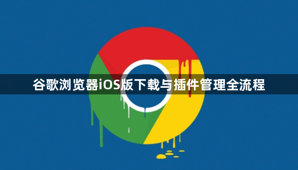 谷歌浏览器iOS版下载与插件管理全流程1