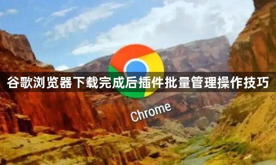 谷歌浏览器下载完成后插件批量管理操作技巧1