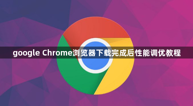 google Chrome浏览器下载完成后性能调优教程1