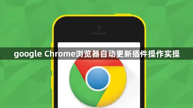 google Chrome浏览器自动更新插件操作实操1