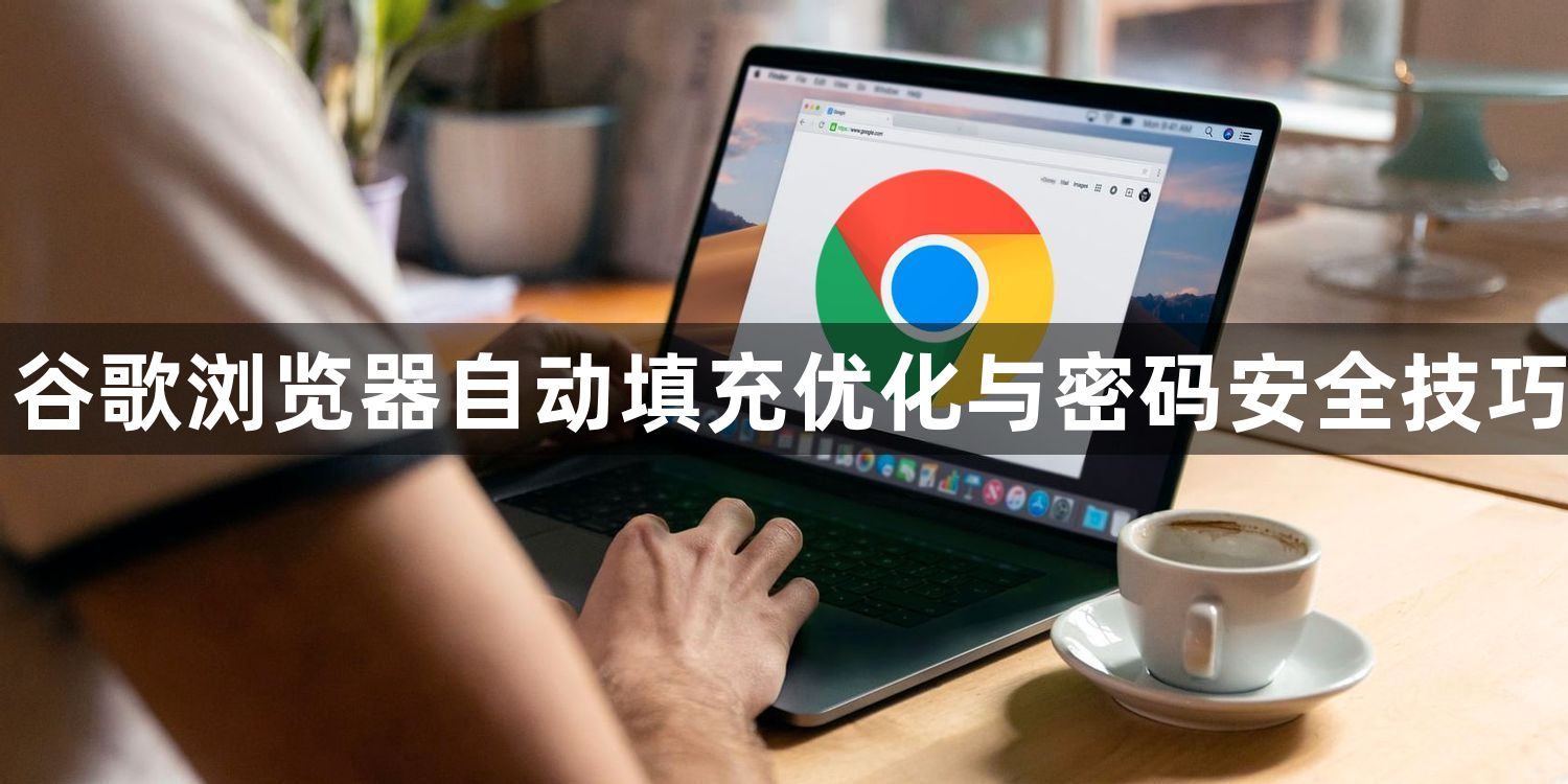 谷歌浏览器自动填充优化与密码安全技巧1