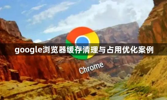 google浏览器缓存清理与占用优化案例1