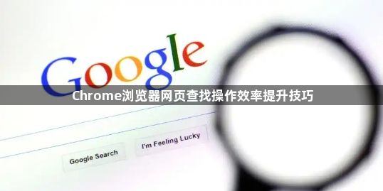 Chrome浏览器网页查找操作效率提升技巧1