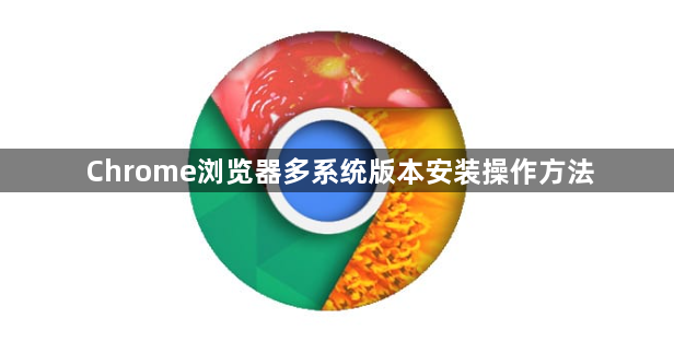 Chrome浏览器多系统版本安装操作方法1