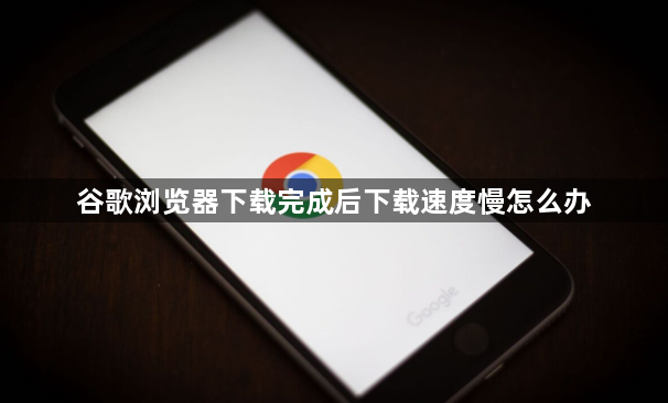 谷歌浏览器下载完成后下载速度慢怎么办1