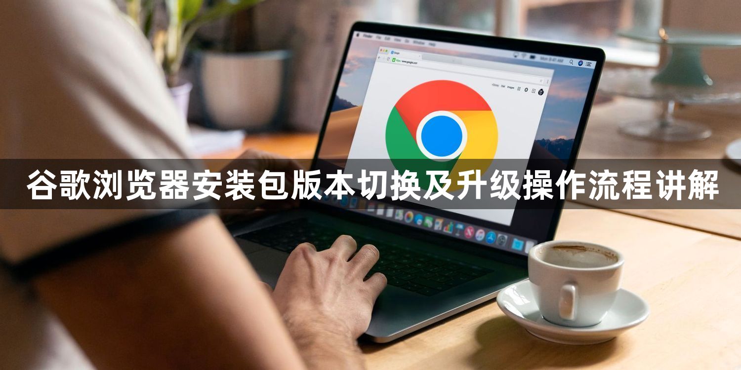 谷歌浏览器安装包版本切换及升级操作流程讲解1