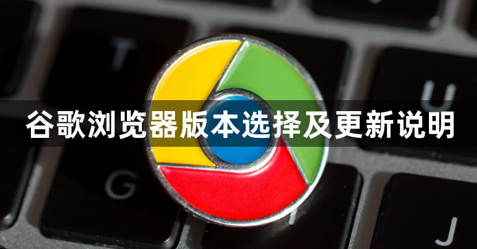 谷歌浏览器版本选择及更新说明1