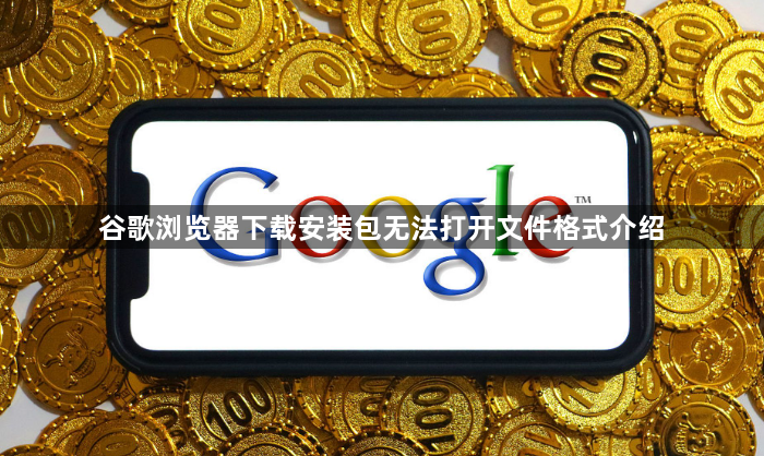 谷歌浏览器下载安装包无法打开文件格式介绍1