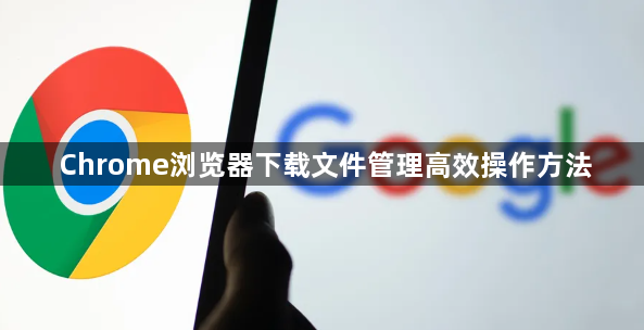 Chrome浏览器下载文件管理高效操作方法1