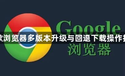 谷歌浏览器多版本升级与回退下载操作技巧1