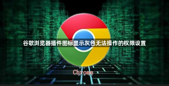 谷歌浏览器插件图标显示灰色无法操作的权限设置1