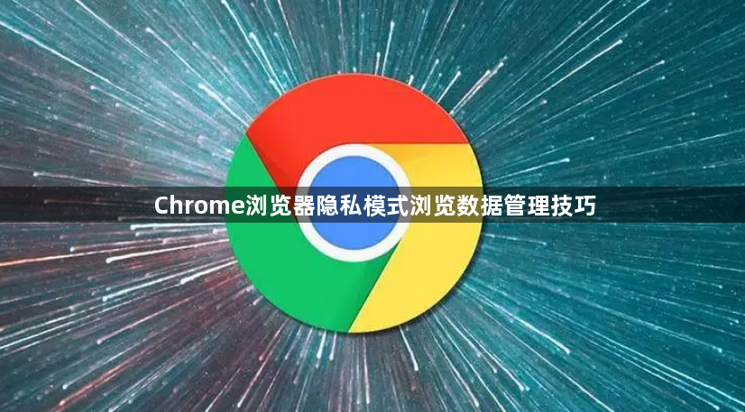 Chrome浏览器隐私模式浏览数据管理技巧1