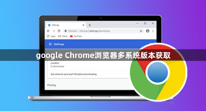 google Chrome浏览器多系统版本获取1